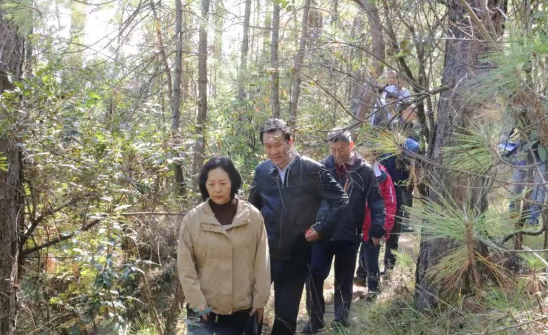 1668134223867029247.jpg 1668134223867029247.jpg