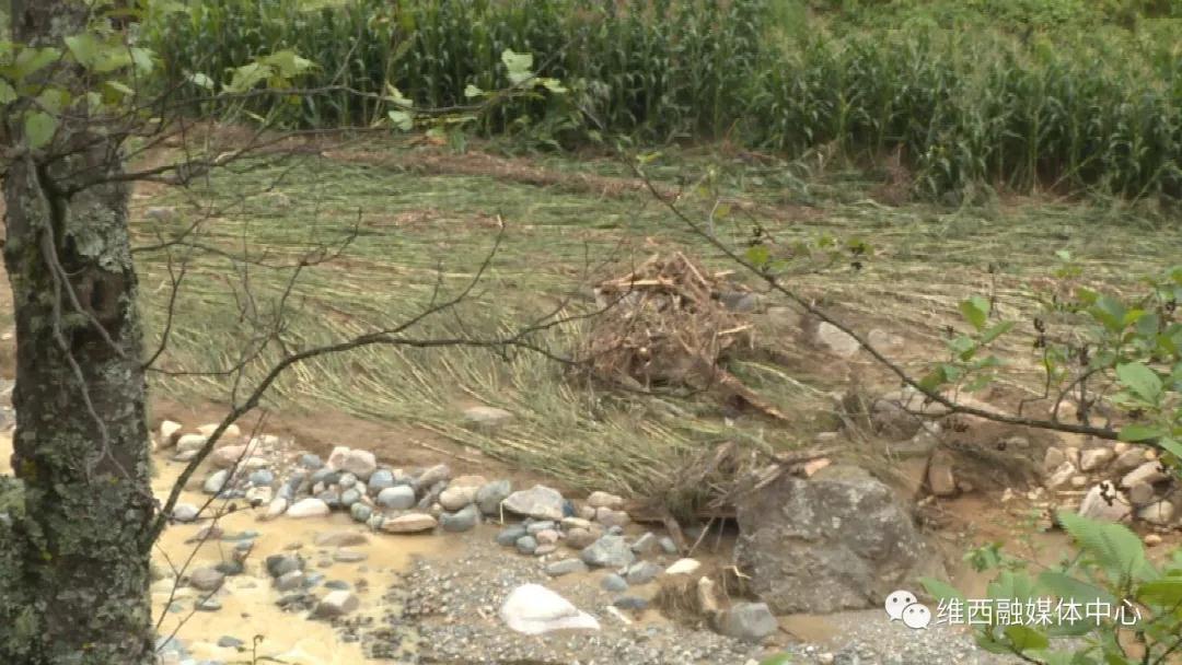 1629167438889097248.jpg 1.jpg