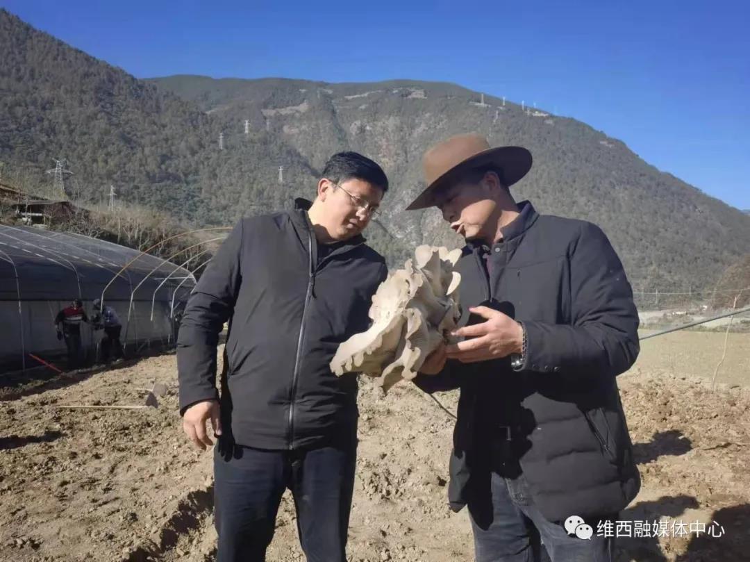 1640137216179056574.jpg 微信图片_20211222093800.jpg