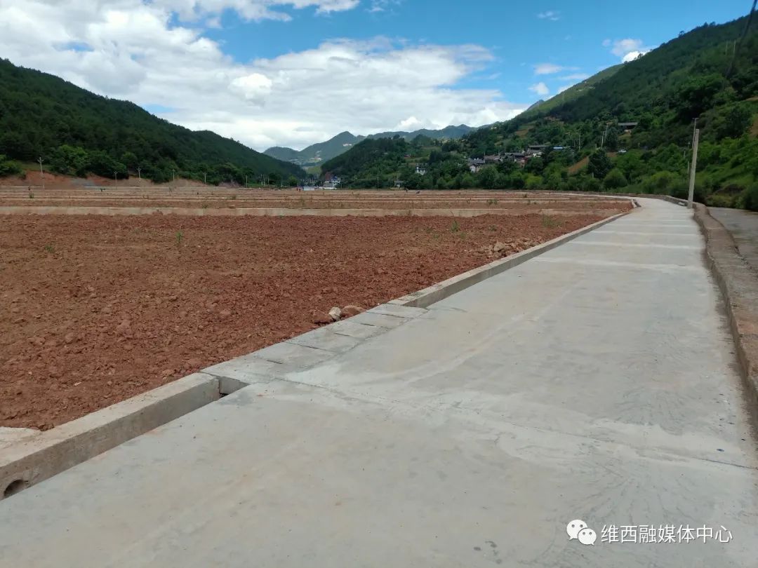 1653967455755017849.jpg 2.jpg