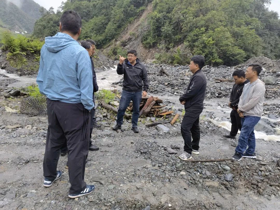 1656920531395013171.jpg 1.jpg