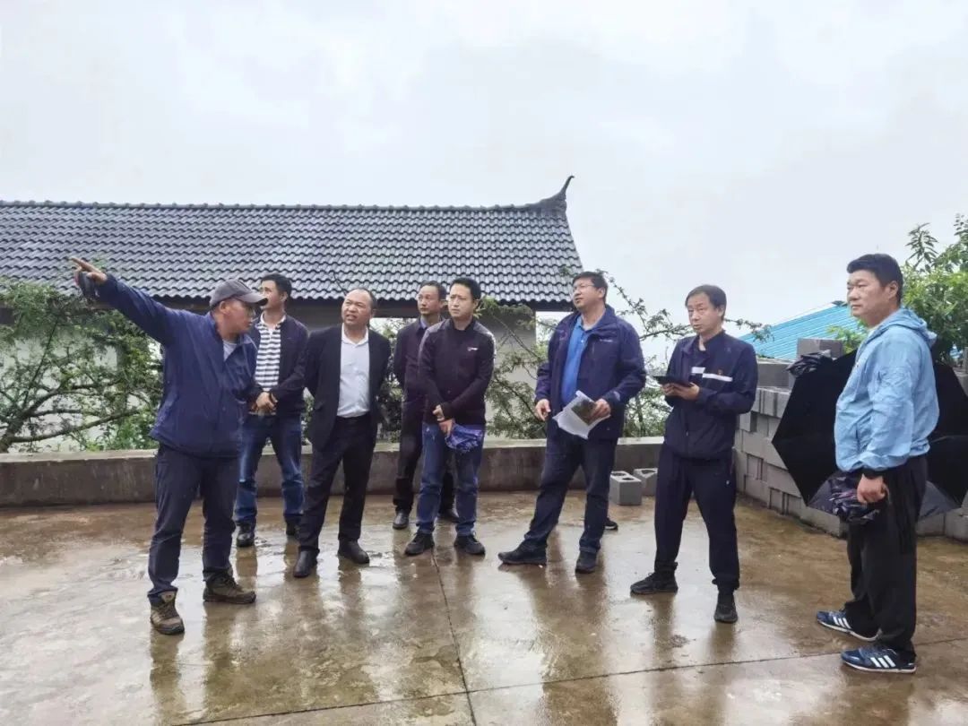 1656920562617090220.jpg 3.jpg