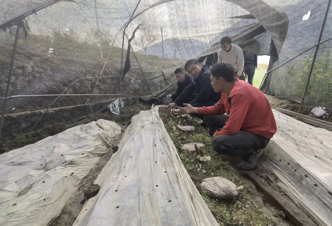 1678949128977050368.jpg 1.jpg