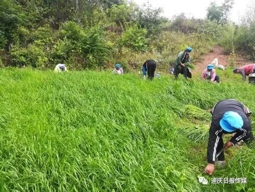 1680486131978097352.jpg 12.jpg