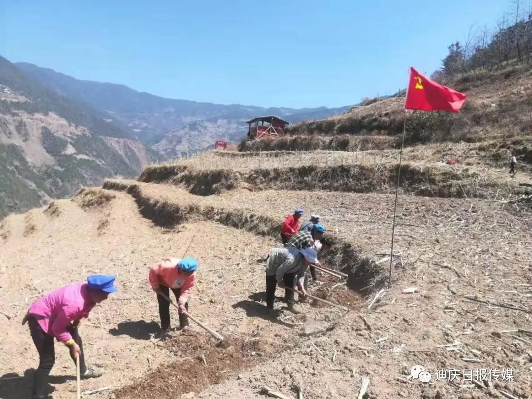 1680486192404082859.jpg 14.jpg