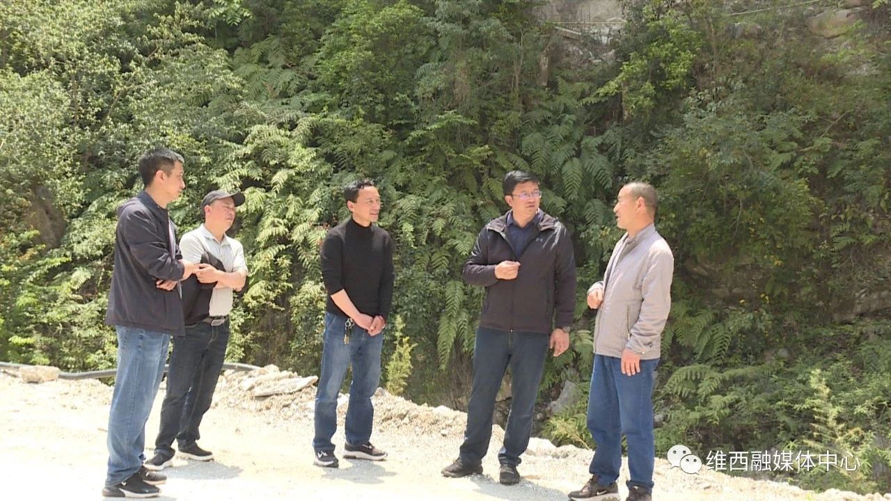 1681959023893039645.jpg 黄2.jpg