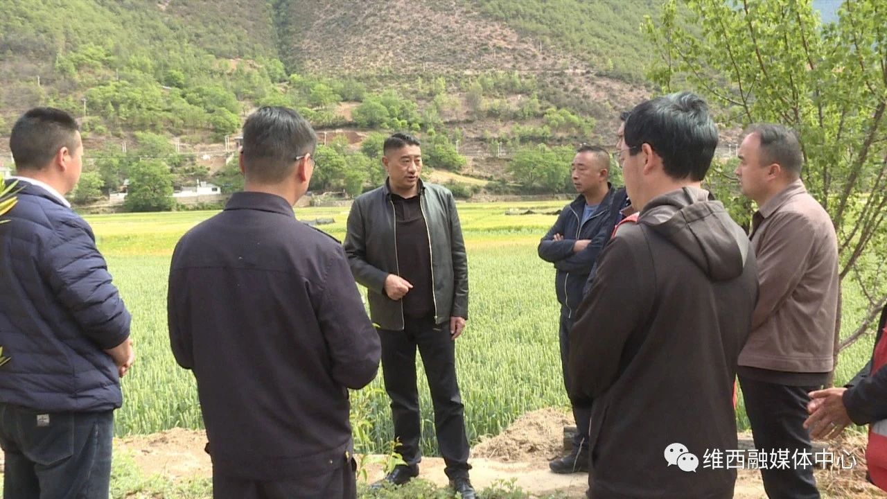 1683527727165001148.jpg 1.jpg