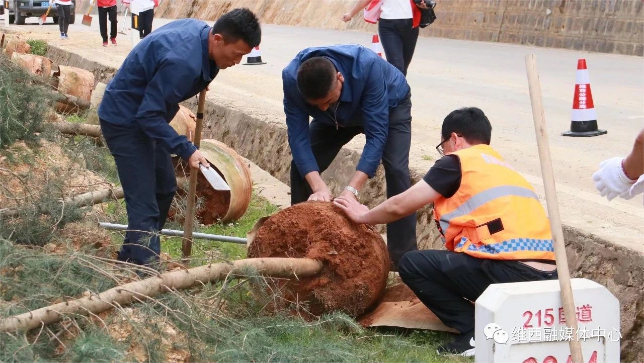 1690536396752058701.jpg 3.jpg