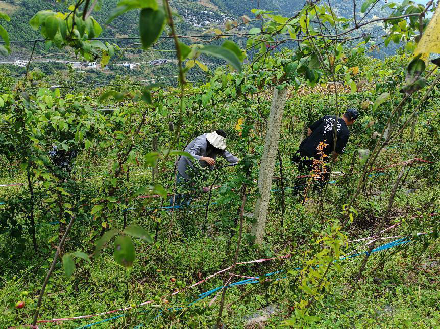 1695782961420056001.png 不2.png