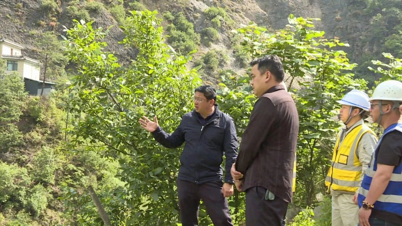 1715565601875034511.jpg 5.jpg