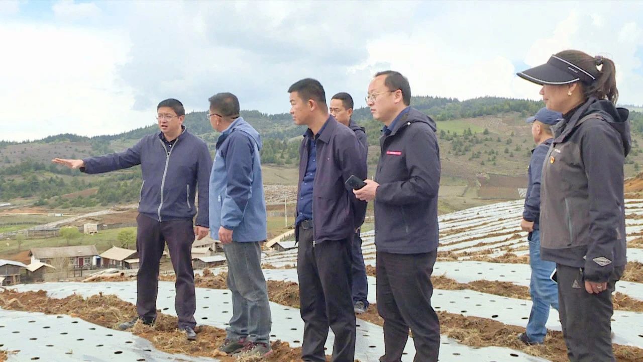 1716534712544056402.jpg 1.jpg