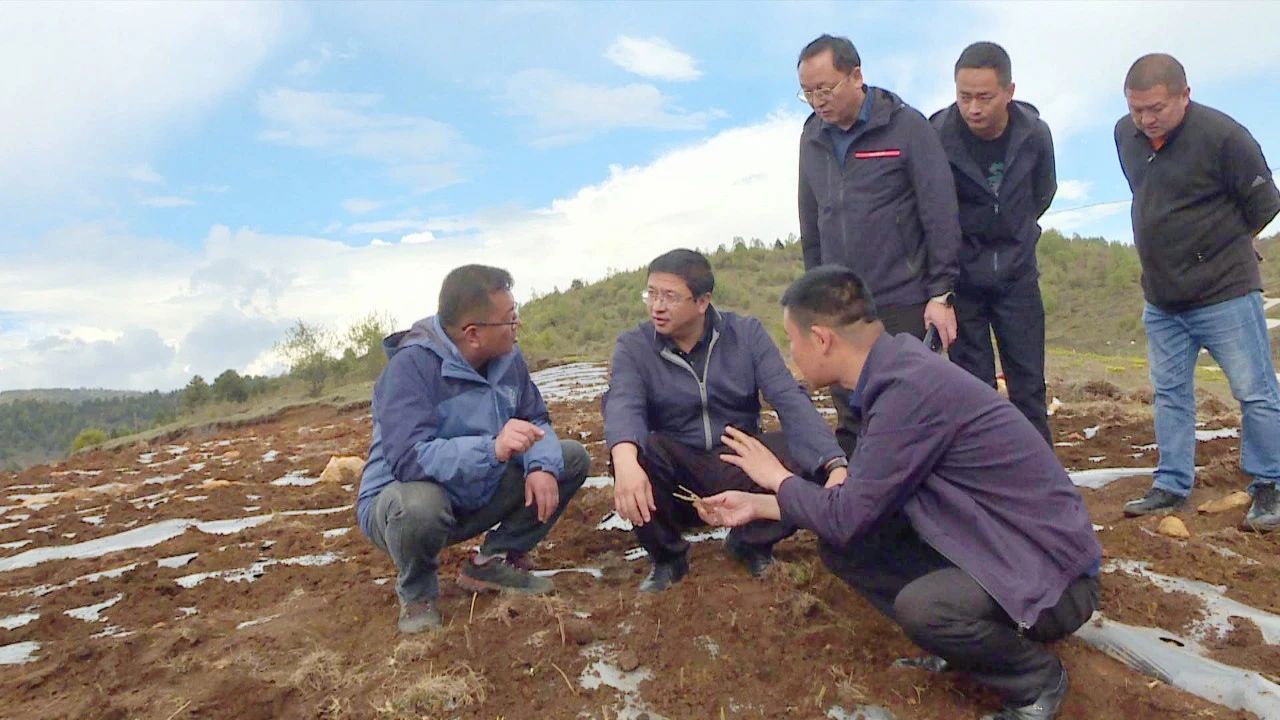 1716534720621056052.jpg 2.jpg