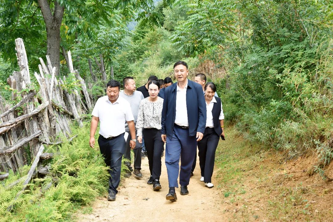 1724634278041047574.jpg 1.jpg