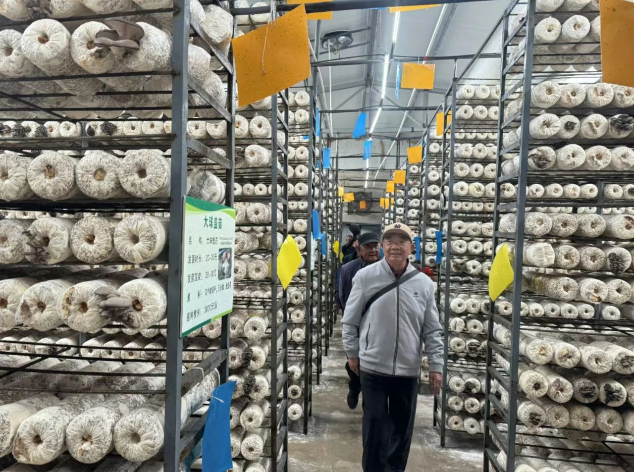 1731033845950018113.jpg 6.jpg