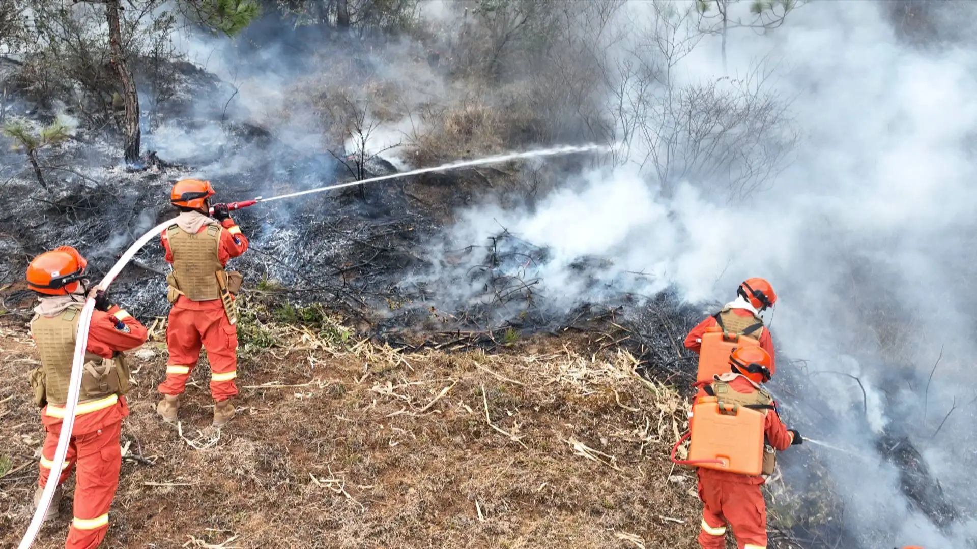 1736825553706077527.jpg 2.jpg