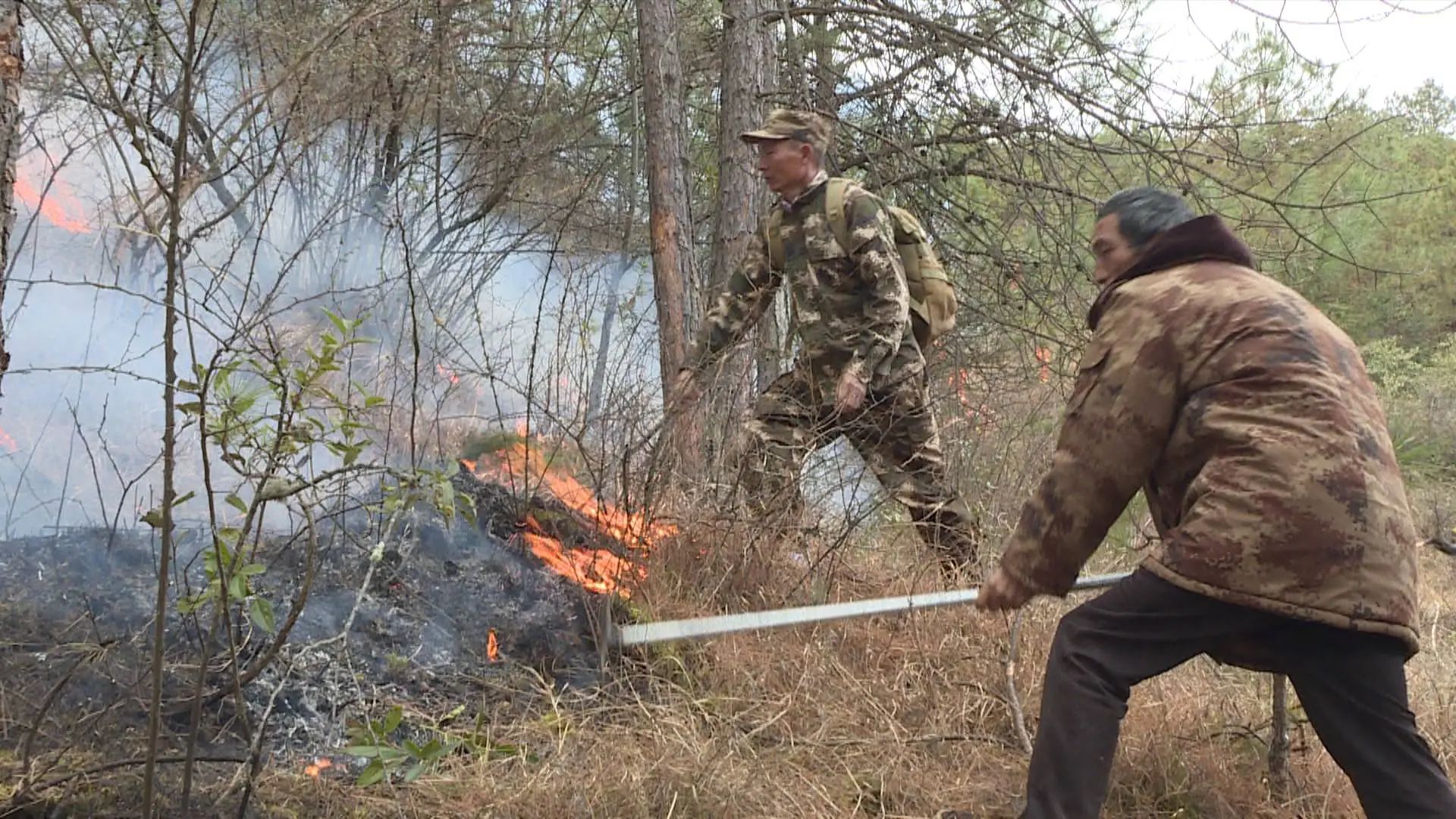 1736825566107062078.jpg 3.jpg