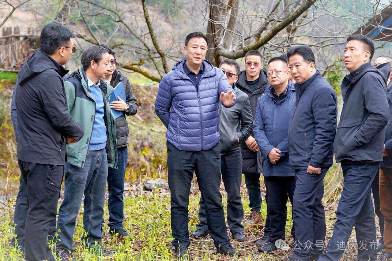 1742956906088038326.jpg 1.jpg