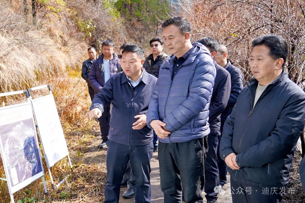 1742956919696023005.jpg 2.jpg