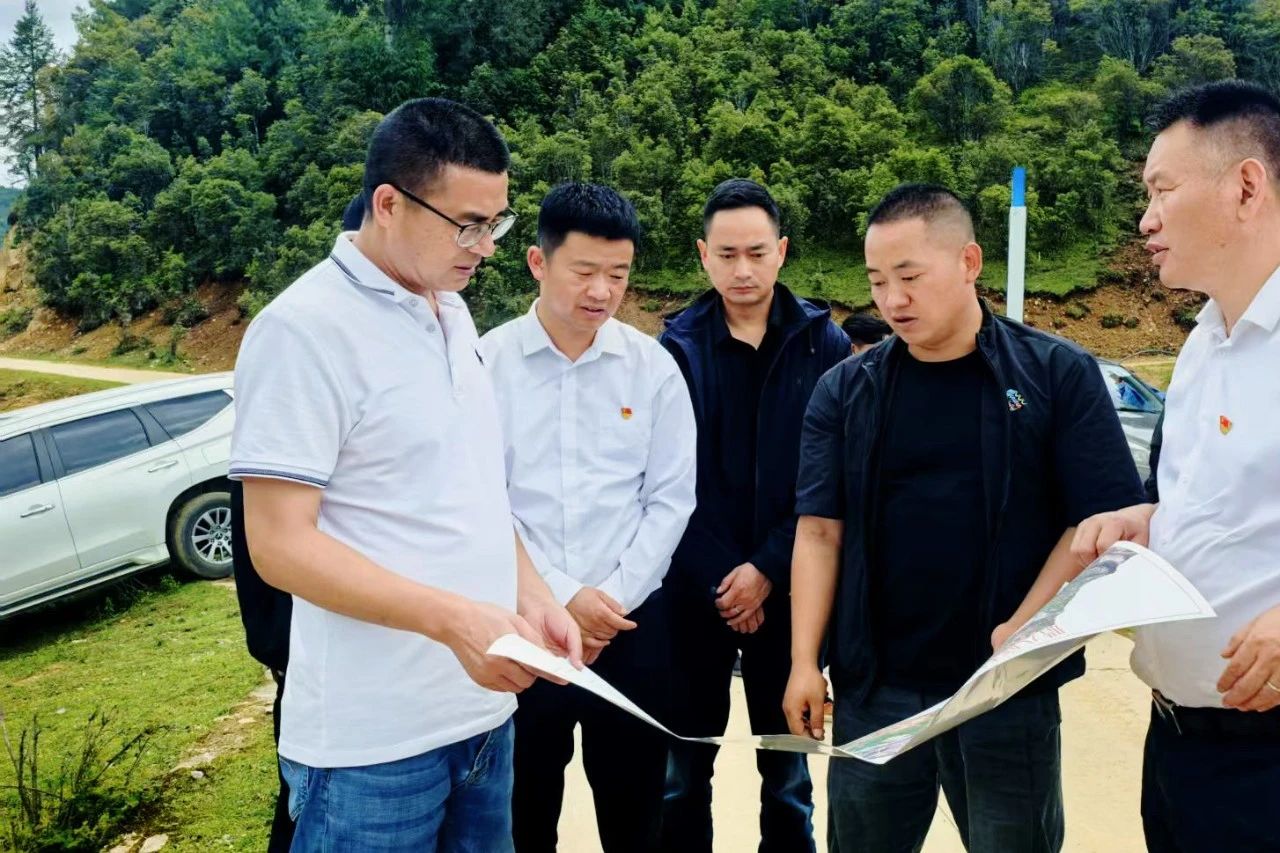 和雨到保和镇调研中药材示范基地情况及农村人居环境整治工作