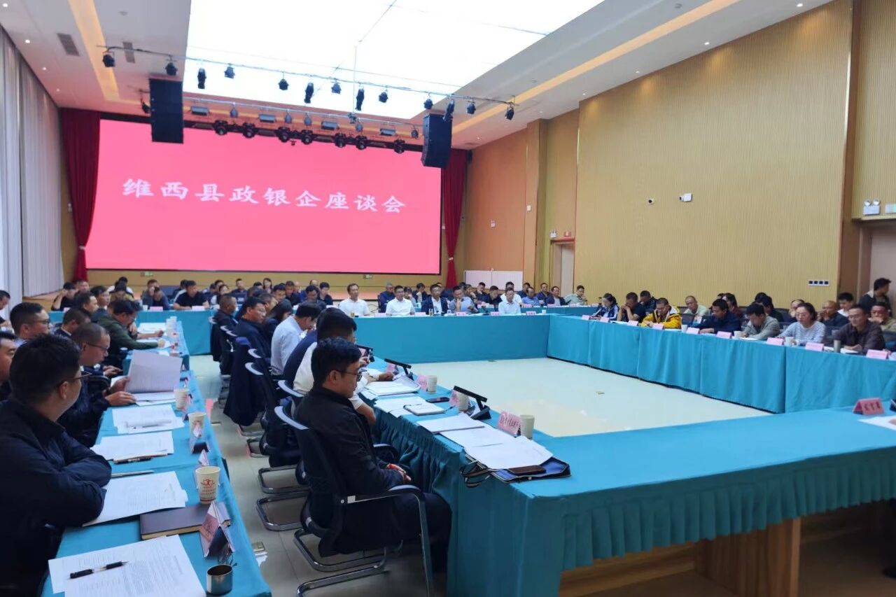 维西县政银企座谈会召开