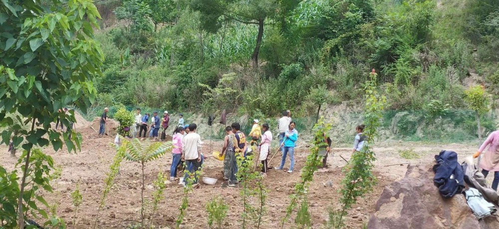 在党员的带动下，香椿箐群众在空地里种植香椿树。杨洪程f.jpg