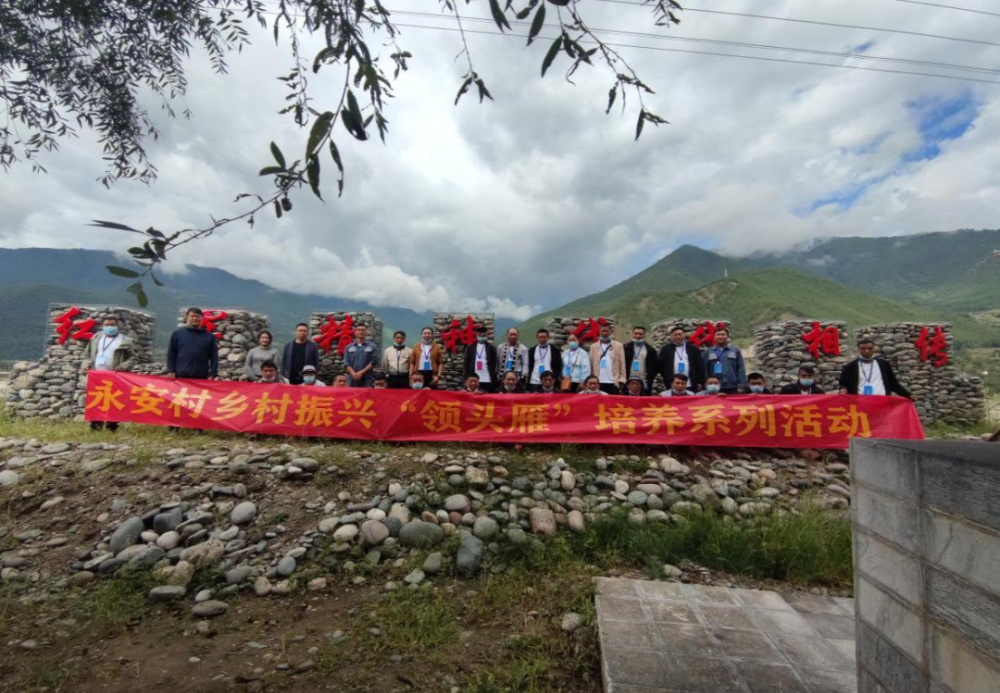 1666400362787088001.png 图片 3.png