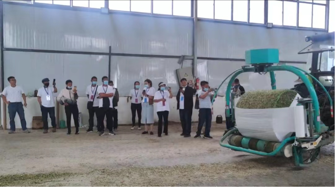 1666400415206041007.png 图片 4.png