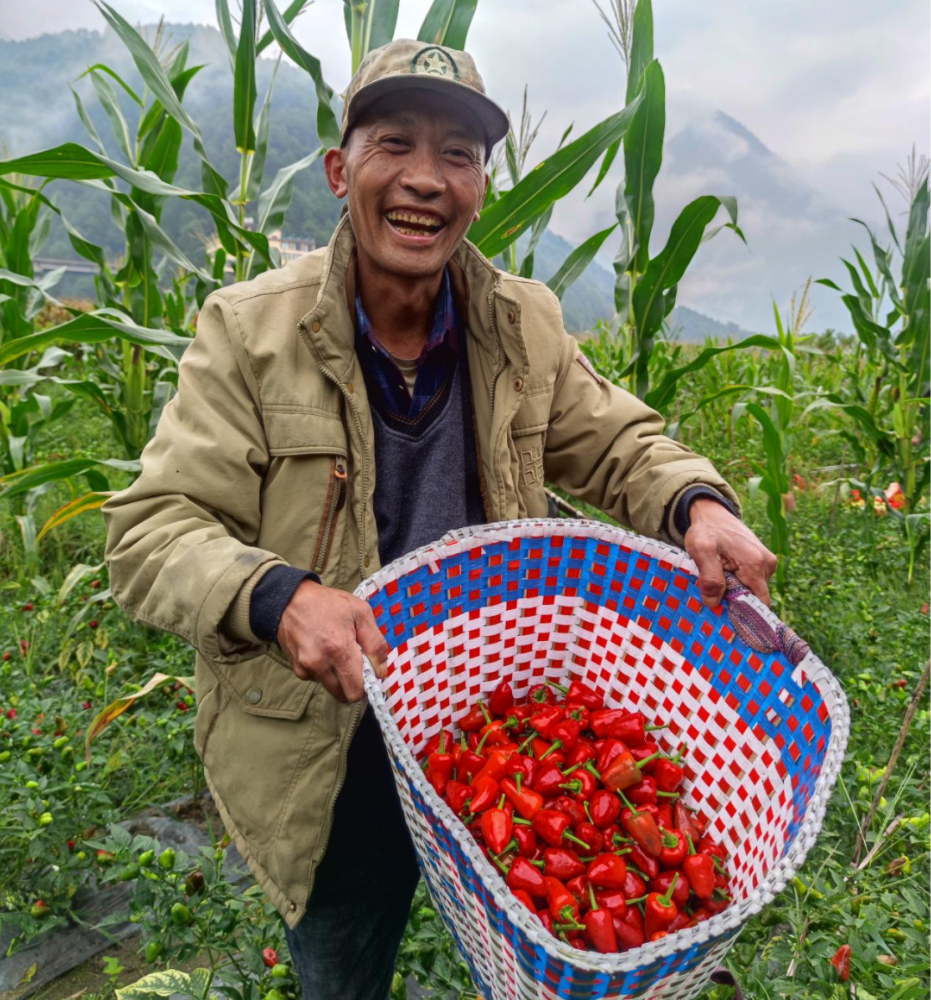 1666400757604039638.png 图片 15.png