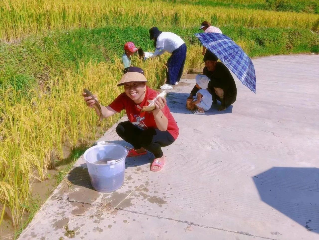 1725411178635085258.jpg ed3f8f94677d0405a0946dce4eb97c77.jpg