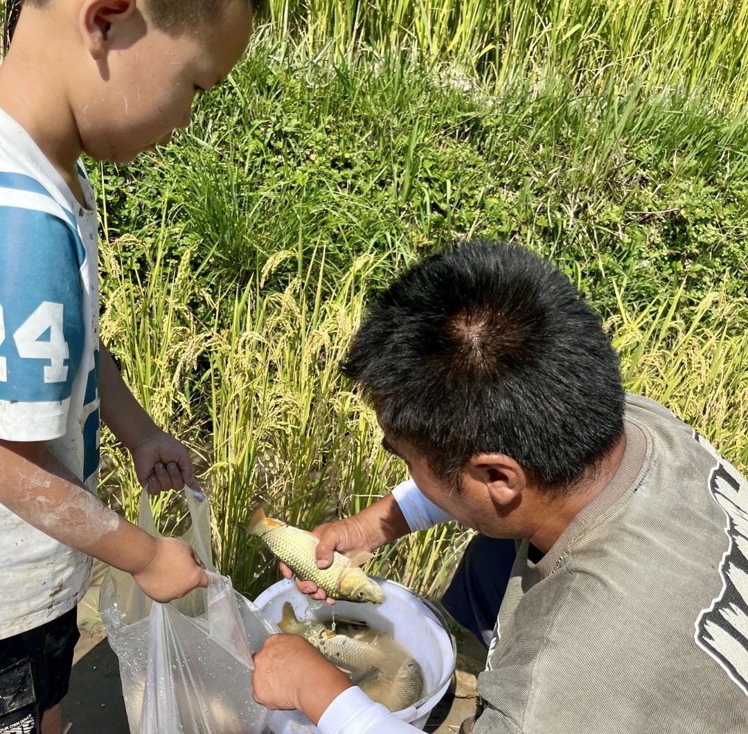 1725411193967023223.jpg 12b7226181631763953ca31d516eceae.jpg