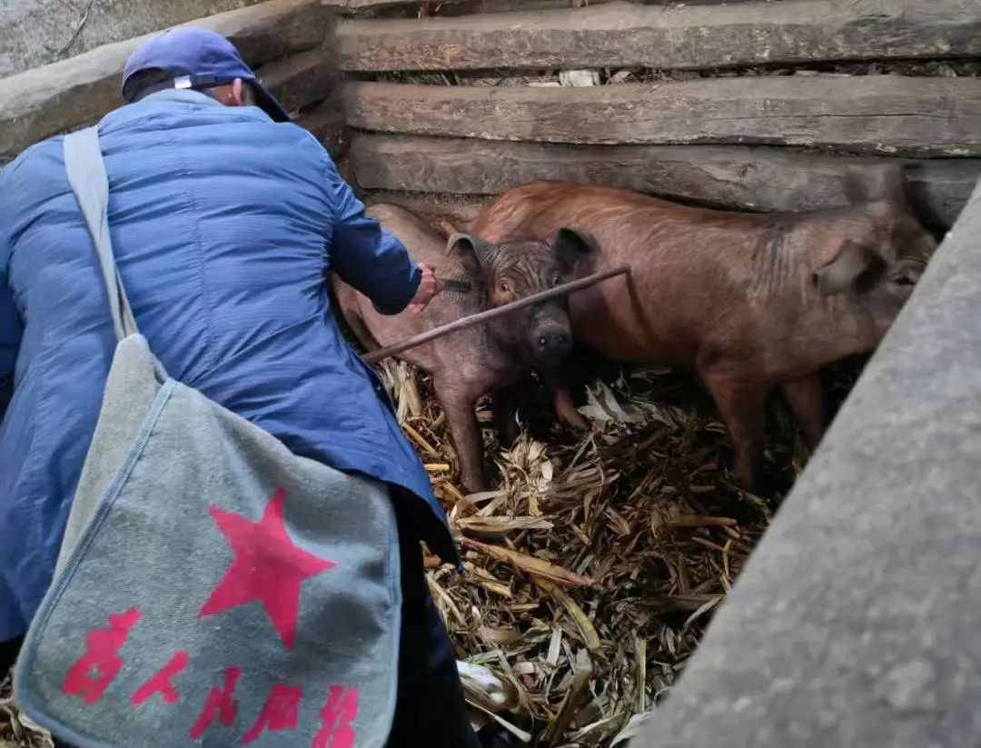 1745206012955015973.jpg 03bfe3945ab6c46b6127d283f3147666.jpg