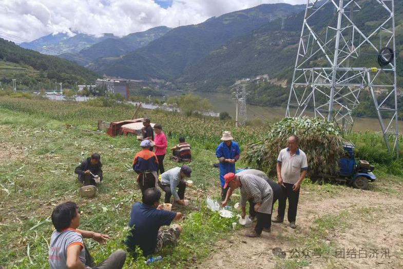 1758529930505021233.png 6f42295d8d9e2db5572624e0e25f8aed.png