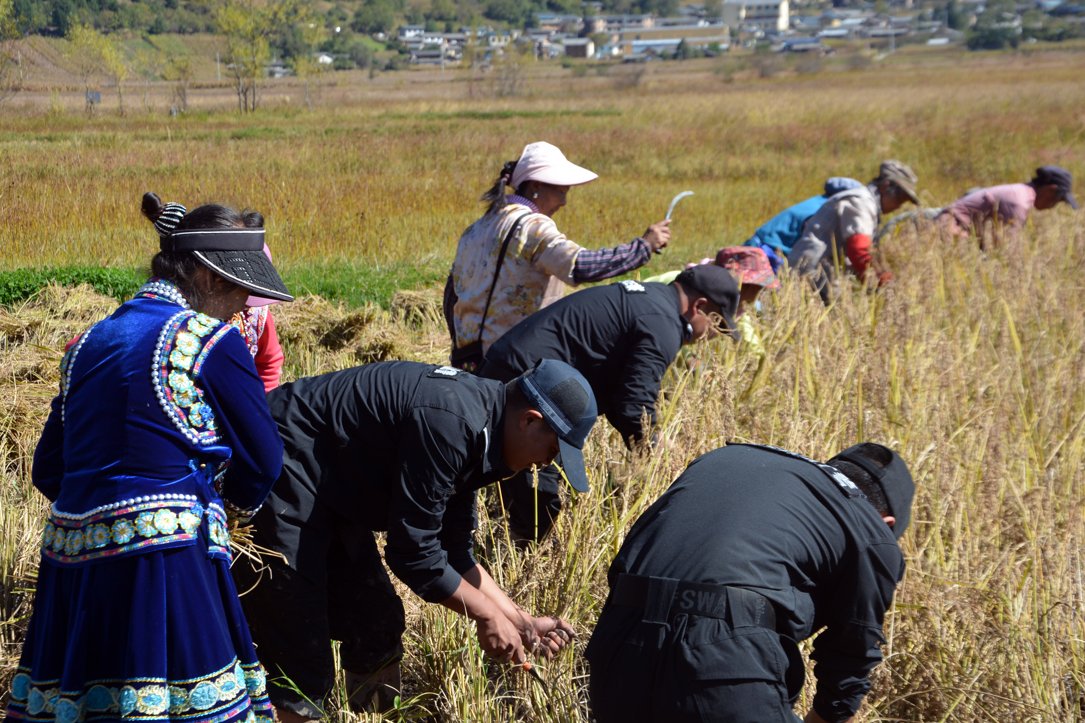 1765784058879060786.jpg DSC_4799.jpg