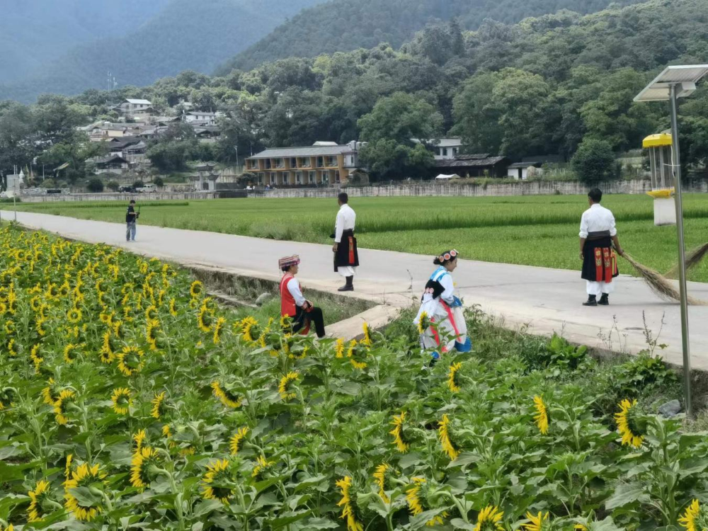 1715149801582023346.png 图片12.png