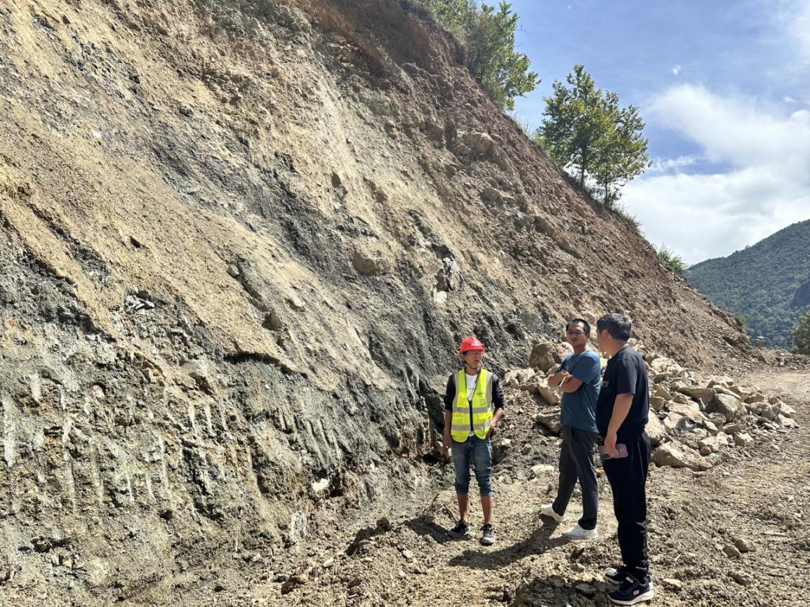 1729153637051050993.png 图片11.png