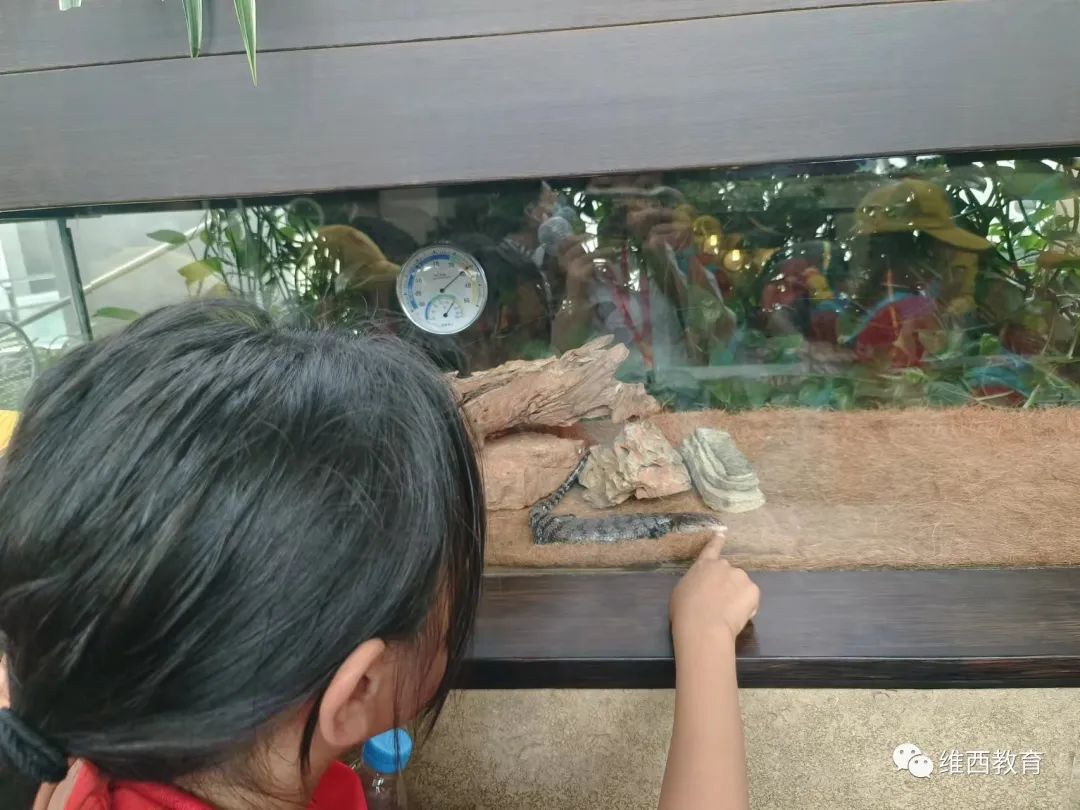 1690286339133071750.jpg 12.jpg