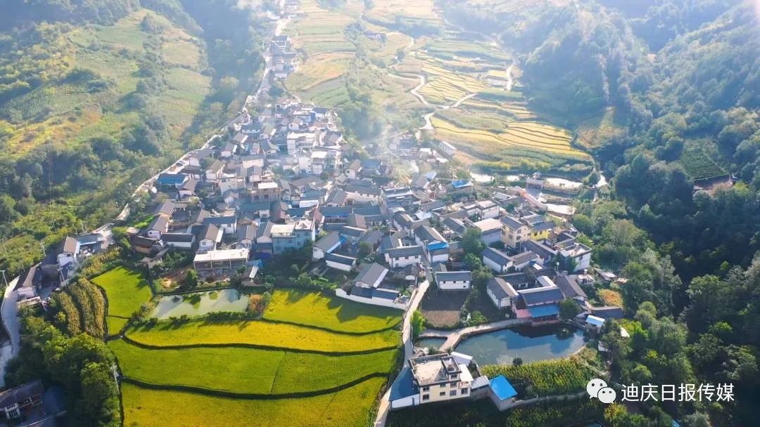 1692428812673040117.jpg 12.jpg