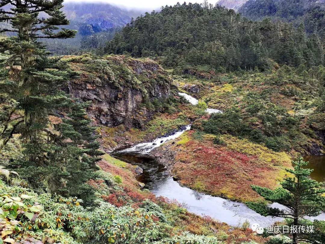 1692428849091078662.jpg 15.jpg