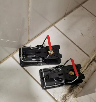 1733276558948019829.png 02.png