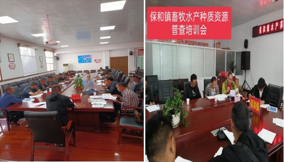 1640051044775075656.jpg 图片1.jpg