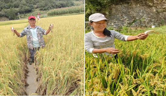 1697514225078084488.png 图片1.png