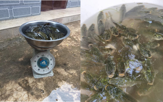 1697514269416011302.png 图片2.png