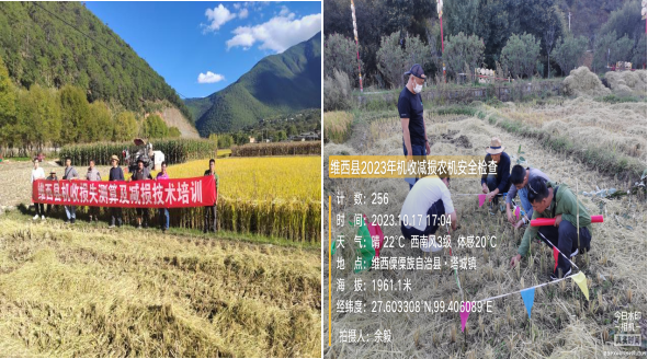 1697699051764014319.png 图片3.png