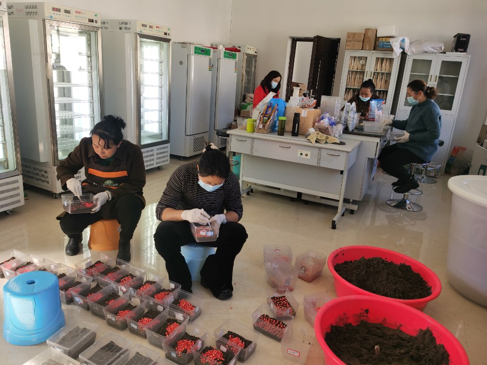 1702432259746021656.jpg 图片2.jpg