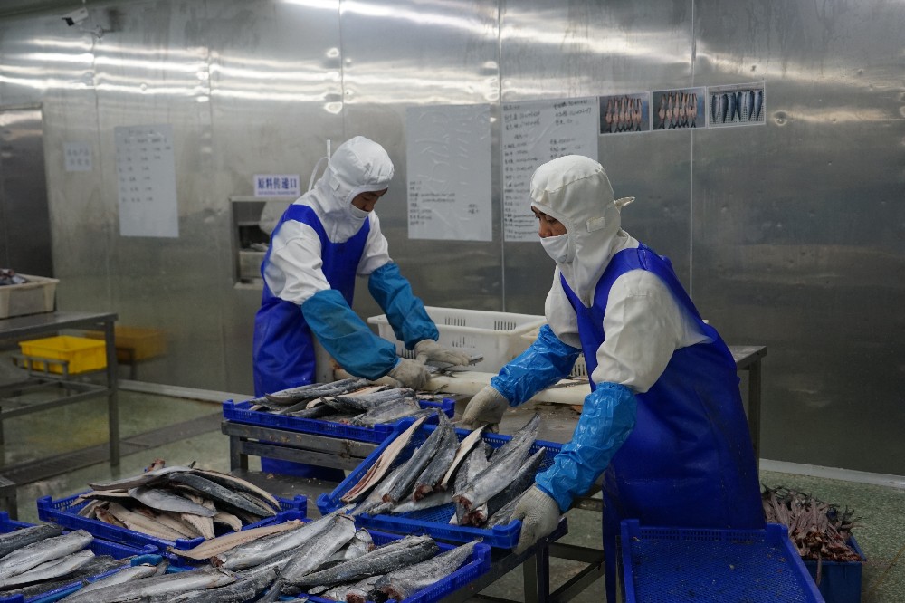 1641977137561008656.jpg DSC02715.jpg