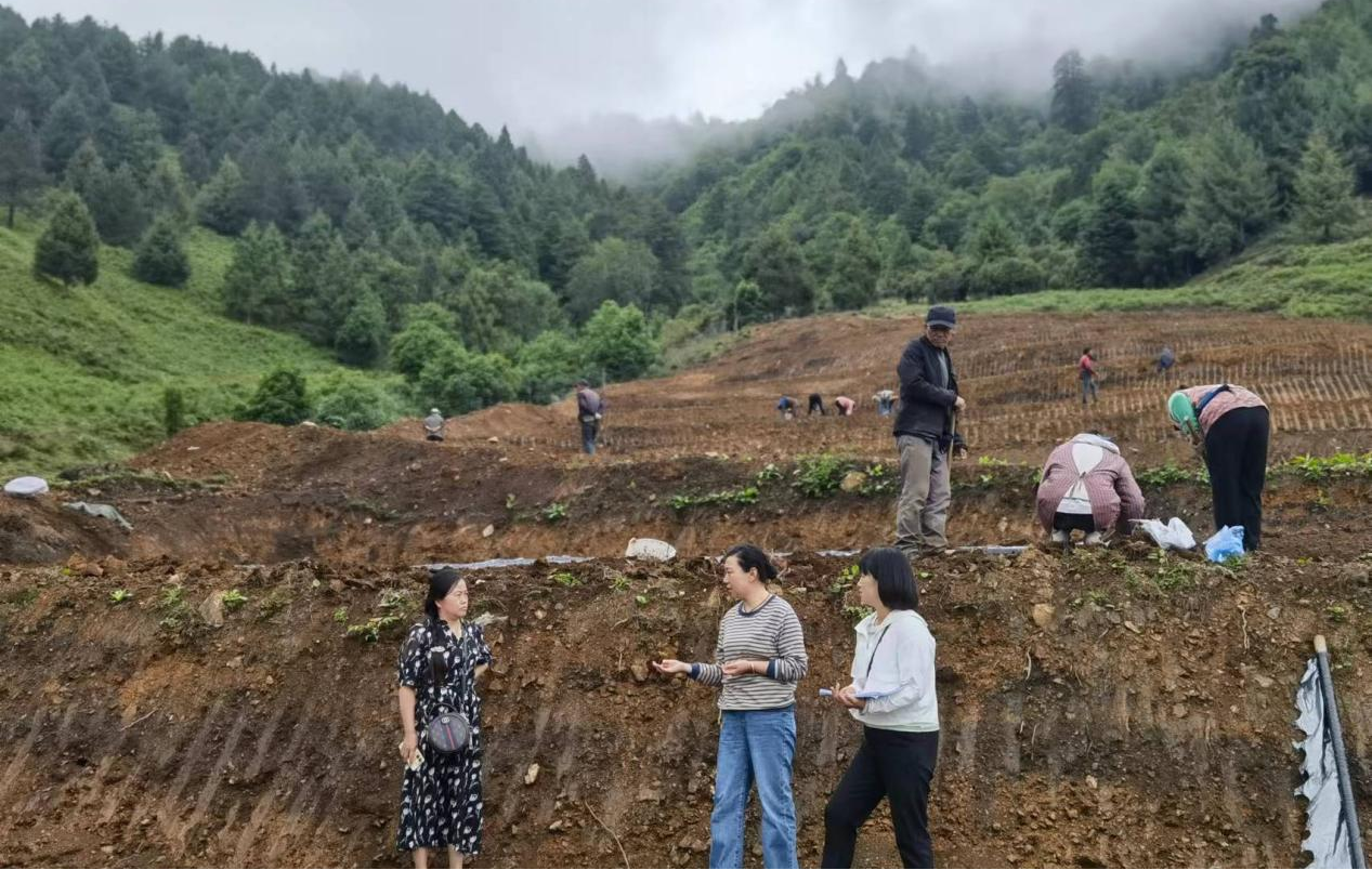 1721033413347089777.png 图片1.png