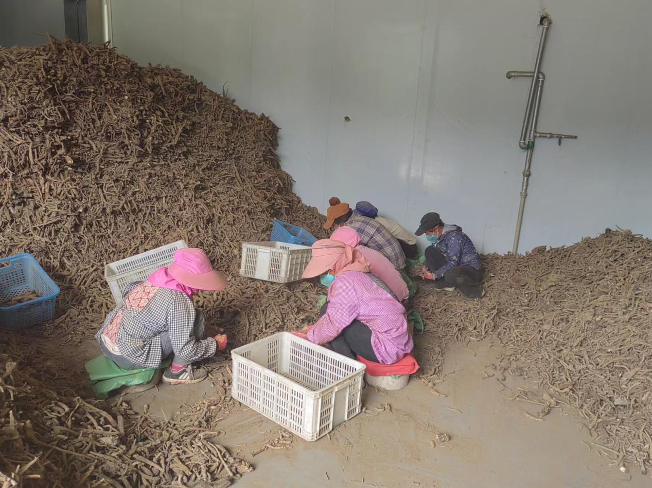 1721033440467028681.png 图片2.png