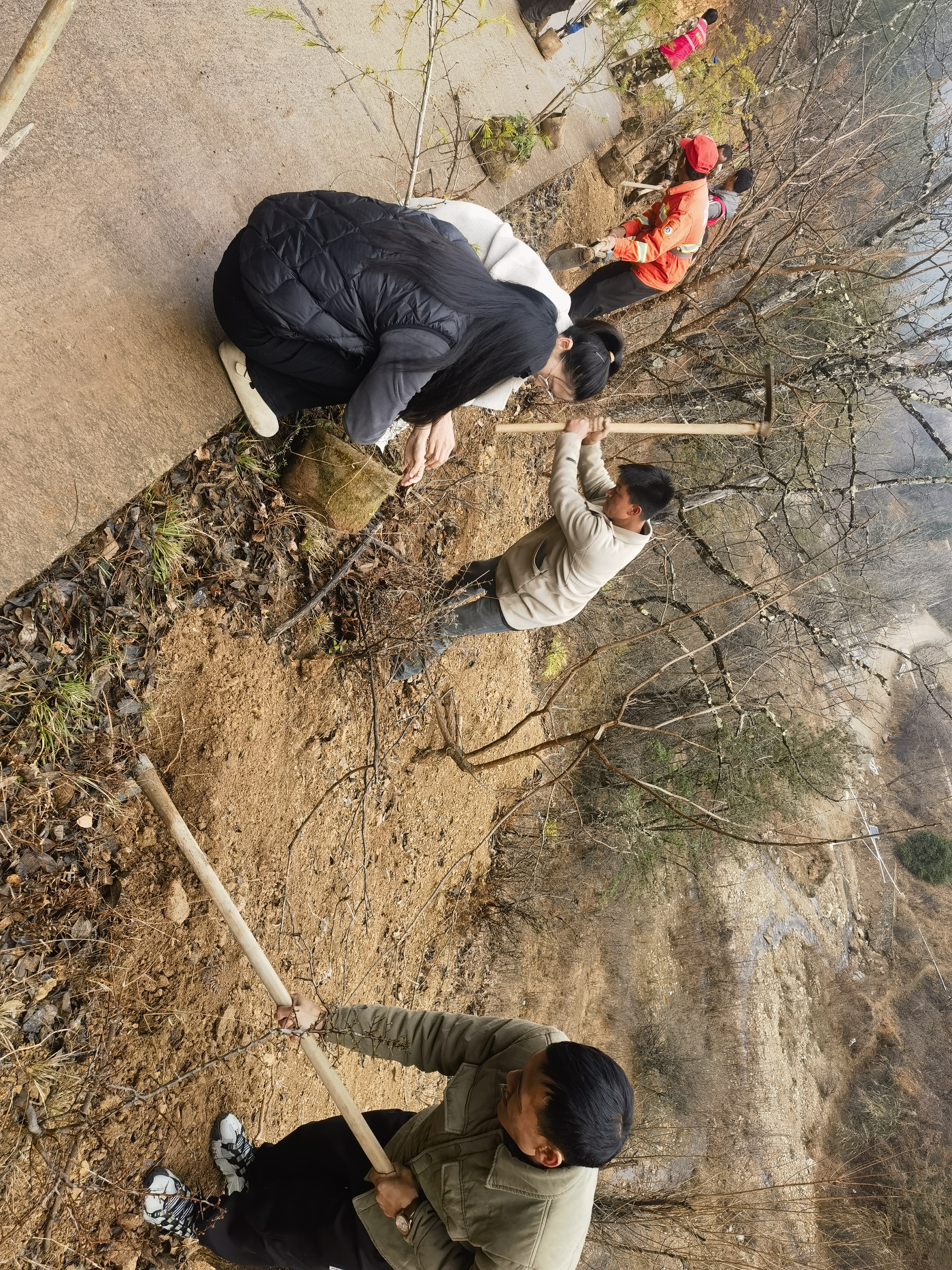 1742178680587051423.jpg 微信图片_20250317104337.jpg