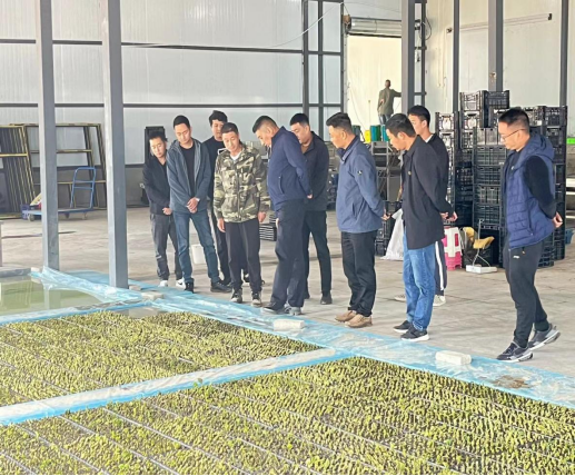 1666251297339046177.png image.png