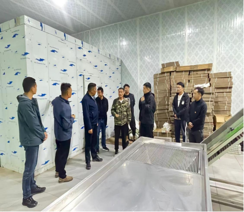 1666251400089050921.png image.png